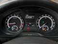 Skoda Karoq Ambition 4x4 2,0TDI AHK* LED* PDC* ab € 179,-* Weiß - thumbnail 20
