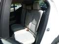 Volvo XC40 D4 Momentum Pro AWD AUT/NAV/LED/4x4 Weiß - thumbnail 8