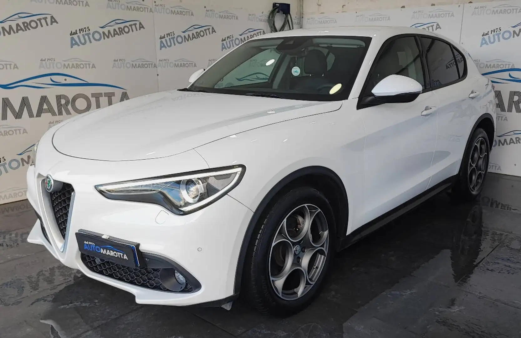 Alfa Romeo Stelvio 2.2 t Executive 180cv Bianco - 1