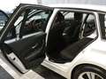 BMW 320 d Touring Sport Automatica - Navi - Xenon - Pdc Blanc - thumbnail 3