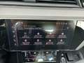 Audi SQ8 e-tron quattro Grau - thumbnail 16