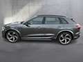 Audi SQ8 e-tron quattro Grau - thumbnail 5