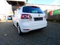 Volkswagen Golf Plus Life Weiß - thumbnail 6