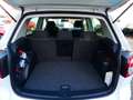Volkswagen Golf Plus Life Weiß - thumbnail 9