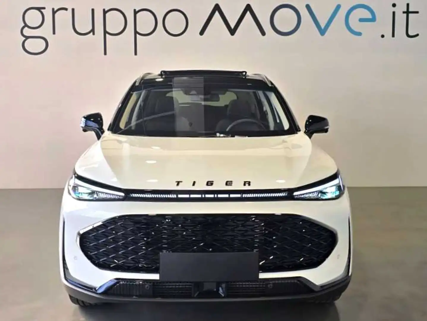 Sonstige Sonstige 1.5TGDI DCT 176 CV GPL Weiß - 2