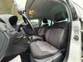 Volkswagen Polo V Allstar/2 HAND/KLIMAAUTO/SHZ/ALU/FACELIFT Weiß - thumbnail 18