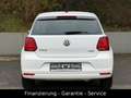 Volkswagen Polo V Allstar/2 HAND/KLIMAAUTO/SHZ/ALU/FACELIFT Weiß - thumbnail 6