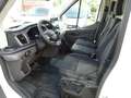 Ford Transit Kasten 350 L3 Trend Weiß - thumbnail 11