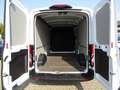 Ford Transit Kasten 350 L3 Trend Weiß - thumbnail 13