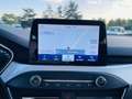 Ford Focus Focus 1.5 EcoBlue 120 CV automatico SW ST-Line Argento - thumbnail 9