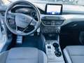 Ford Focus Focus 1.5 EcoBlue 120 CV automatico SW ST-Line Argento - thumbnail 6
