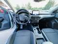 Ford Focus Focus 1.5 EcoBlue 120 CV automatico SW ST-Line Argento - thumbnail 5