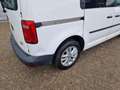 Volkswagen Caddy 2.0 TDI ( AIRCO / NIEUWE KOPPELING) Wit - thumbnail 14