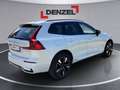 Volvo XC60 Plus, T6 eAWD Plug-in Hybrid, Elektrisch/Benzin, Dark Weiß - thumbnail 4