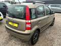 Fiat Panda 1.2 8V Dynamic *1.HD*Servo* TÜV Neu Braun - thumbnail 7