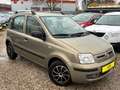 Fiat Panda 1.2 8V Dynamic *1.HD*Servo* TÜV Neu Braun - thumbnail 1