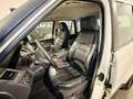Land Rover Range Rover Sport Range Rover Sport II 3.0 tdV6 245 CV HSE auto Bianco - thumbnail 7