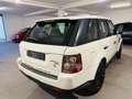 Land Rover Range Rover Sport Range Rover Sport II 3.0 tdV6 245 CV HSE auto Bianco - thumbnail 5