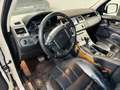 Land Rover Range Rover Sport Range Rover Sport II 3.0 tdV6 245 CV HSE auto Bianco - thumbnail 6