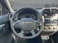 Dacia Spring ELECTRIC ESSENTIAL 27kWh BATTERIEKAUF Vert - thumbnail 11