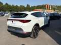 CUPRA Formentor 2.0 TSI DSG 4Drive Pano,AHK,Navi,LED Klima Navi Weiß - thumbnail 7