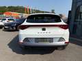 CUPRA Formentor 2.0 TSI DSG 4Drive Pano,AHK,Navi,LED Klima Navi Weiß - thumbnail 6
