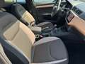 SEAT Ibiza 1.0 Xcellence 75cv - thumbnail 6