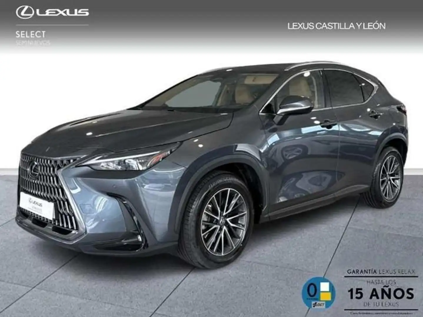 Lexus NX 450h+ 4WD PREMIUM+ Gris - 1