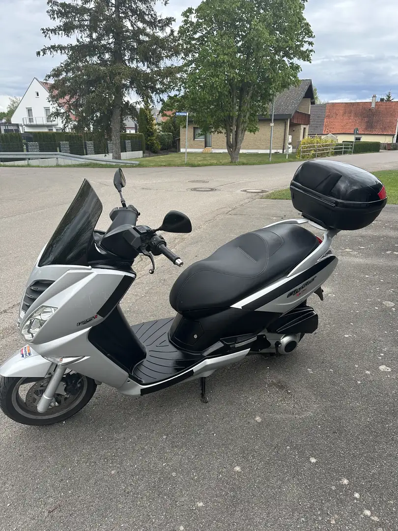 Peugeot Citystar Silver - 1