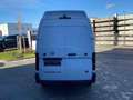 Nissan Interstar Kasten L3H3 dCi170 N-Connecta AHK/270°/K Wit - thumbnail 15