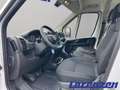 Fiat Ducato L2H2 EU6d 2.2 Multijet DAB Temp Tel.-Vorb. Blanc - thumbnail 12