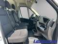 Fiat Ducato L2H2 EU6d 2.2 Multijet DAB Temp Tel.-Vorb. Blanc - thumbnail 9