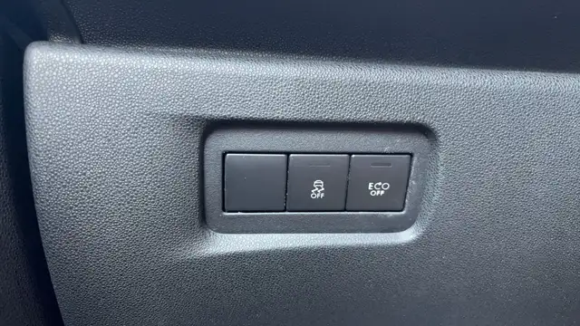 DS Automobiles DS 3 view 13