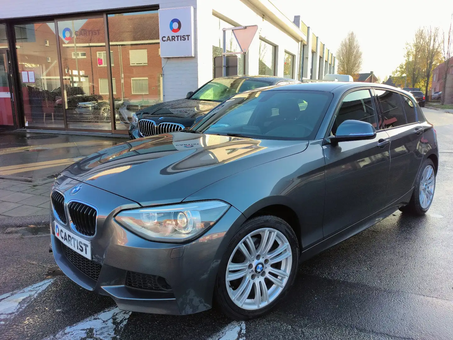 BMW 120 F20 Gris - 1