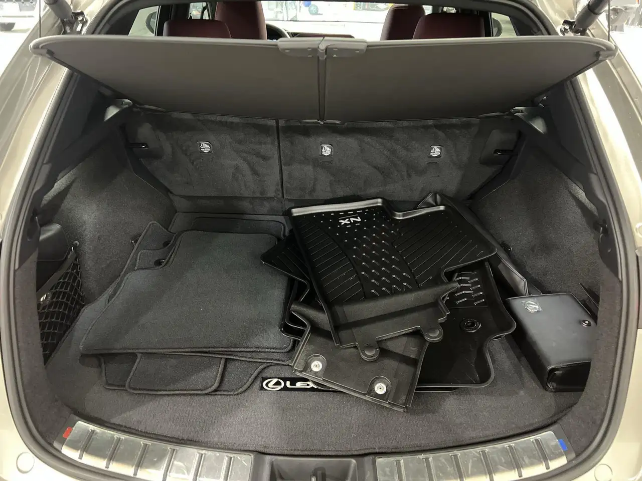 Lexus NX снимка Lexus NX