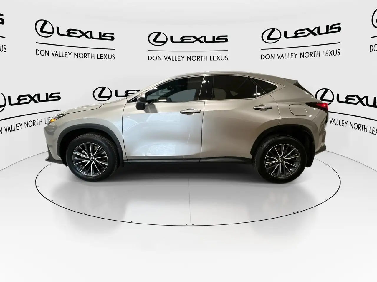 Lexus NX снимка Lexus NX