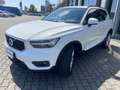 Volvo XC40 D3 Geartronic Business Bianco - thumbnail 3