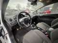 Ford Fiesta 1.0 EcoBoost ST Line Sport 126 pk key less entry c Wit - thumbnail 18
