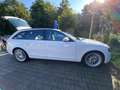 Audi A4 A4 Avant 2.0 TDI DPF quattro Attraction Weiß - thumbnail 2