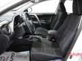 Toyota RAV 4 RAV4 2.5 Hybrid 2WD Active Wit - thumbnail 6