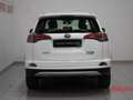 Toyota RAV 4 RAV4 2.5 Hybrid 2WD Active Wit - thumbnail 5