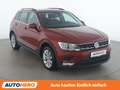 Volkswagen Tiguan 2.0 TDI Comfortline BlueMotion Tech Rot - thumbnail 8