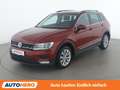 Volkswagen Tiguan 2.0 TDI Comfortline BlueMotion Tech Rot - thumbnail 1
