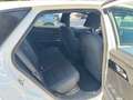 MG MG4 EV 51kWh Standard !!!Auch andere Farben!!! Blanc - thumbnail 14