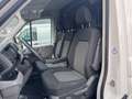 Volkswagen Crafter 35*Garantie*Kamera*AHK*Klima*1.Hand*MwSt Weiß - thumbnail 12