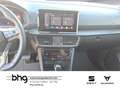 SEAT Tarraco 2.0 TSI 4Drive OPF DSG Xcellence Grün - thumbnail 10