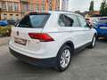Volkswagen Tiguan 1.4 TSI 150PS Comfortl./wenig KM/1.HD! Blanc - thumbnail 5