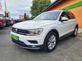 Volkswagen Tiguan 1.4 TSI 150PS Comfortl./wenig KM/1.HD! Blanc - thumbnail 3