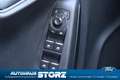 Ford Puma Titanium FAHRERASSISTENZ PAKET|KOMFORT PAKET|WINTE Blau - thumbnail 14