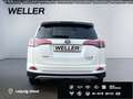 Toyota RAV 4 2.5 4x2 Hybrid Executive *360°*AHK*CAM*PDC* Weiß - thumbnail 6